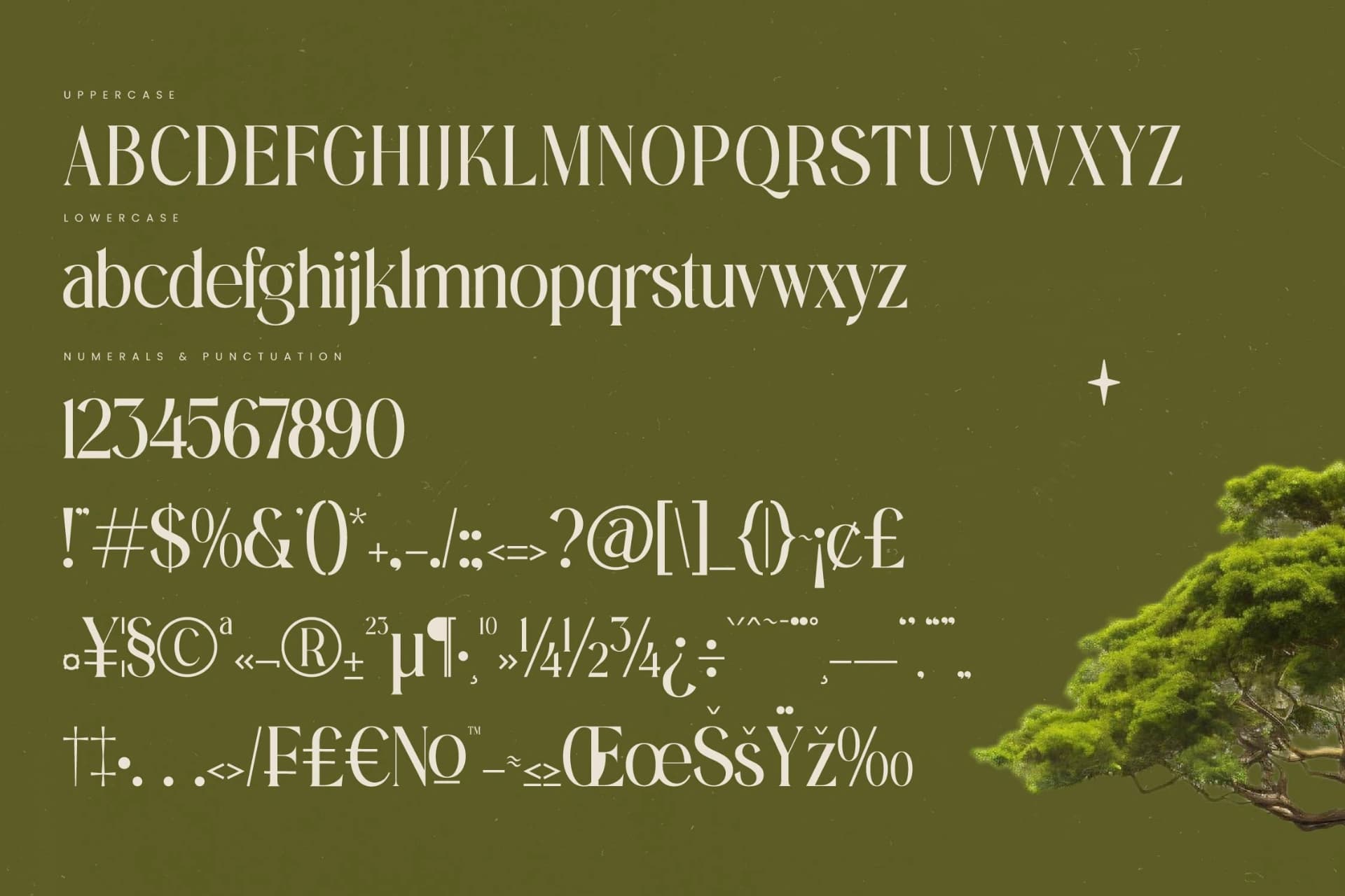 Preview 18 for Eternalo - Bold Tall Serif Display