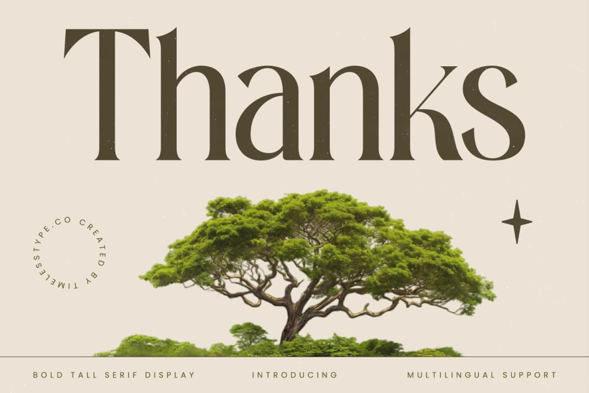 Preview 20 for Eternalo - Bold Tall Serif Display