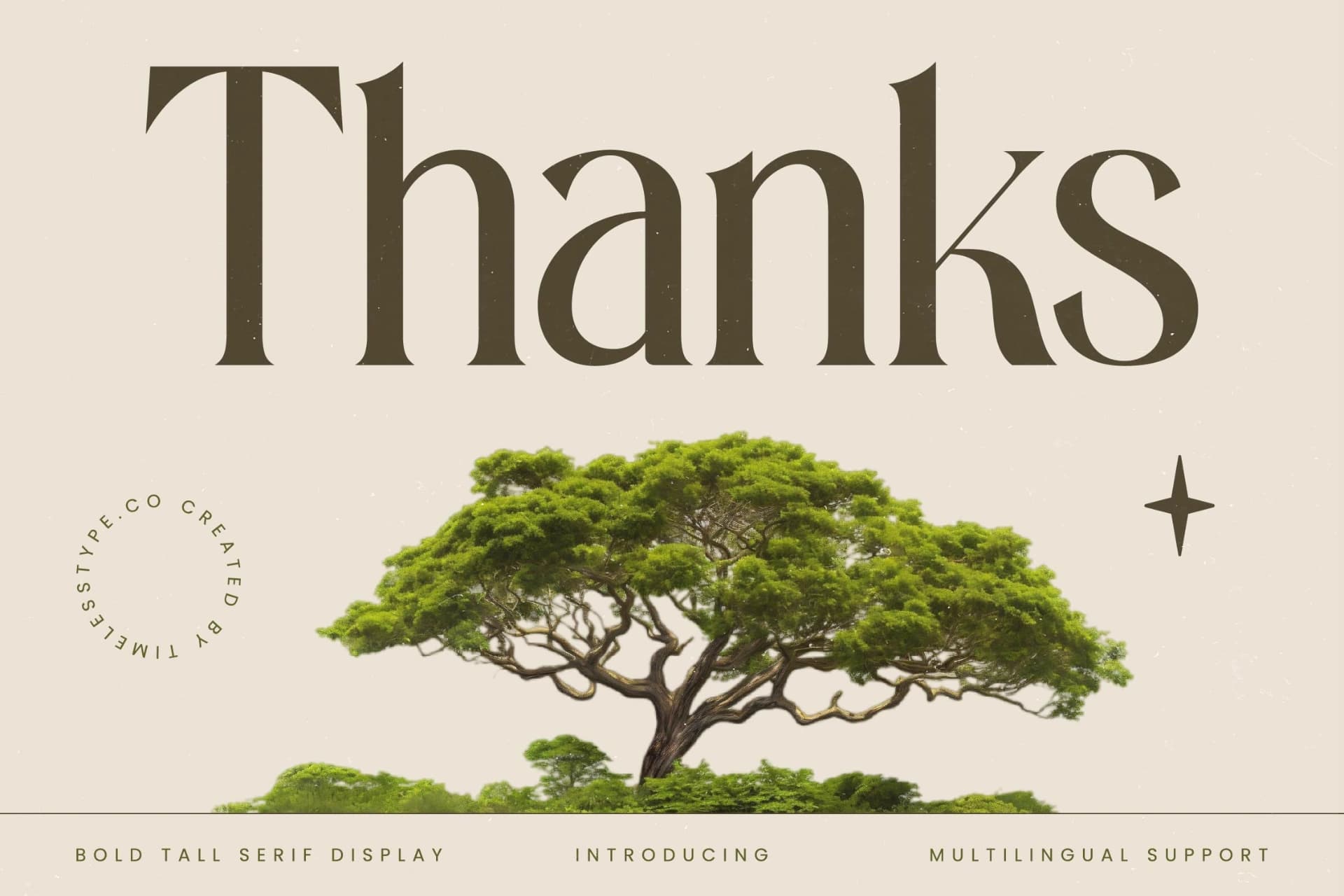 Preview 20 for Eternalo - Bold Tall Serif Display