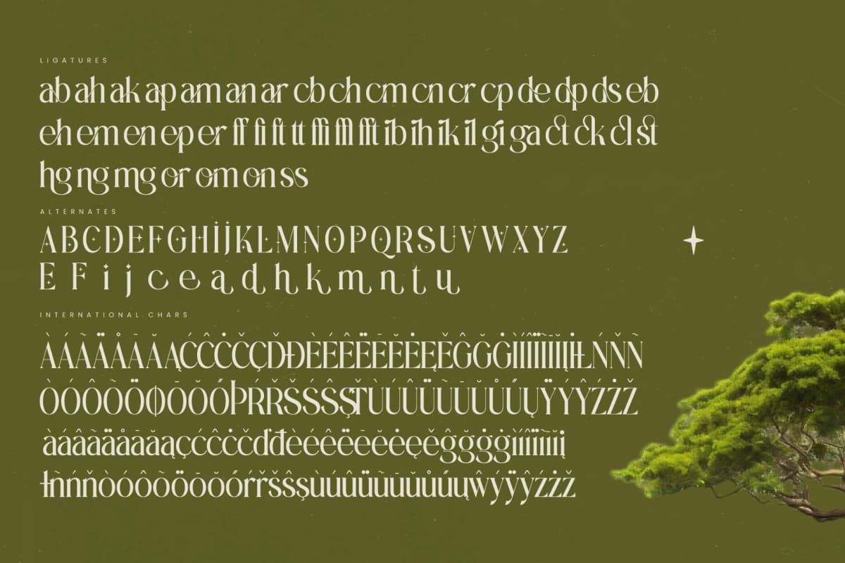 Preview 19 for Eternalo - Bold Tall Serif Display