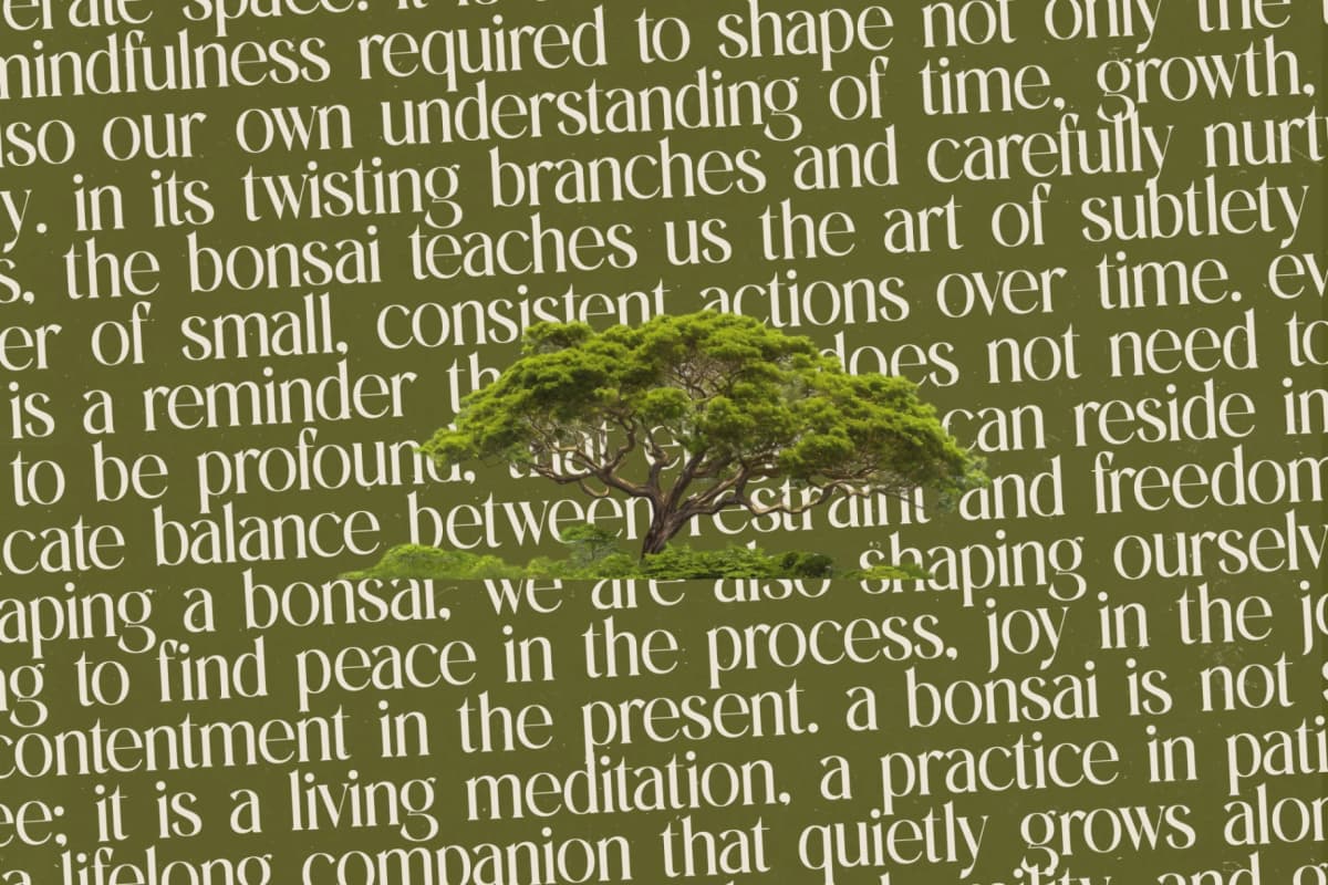 Preview 16 for Eternalo - Bold Tall Serif Display