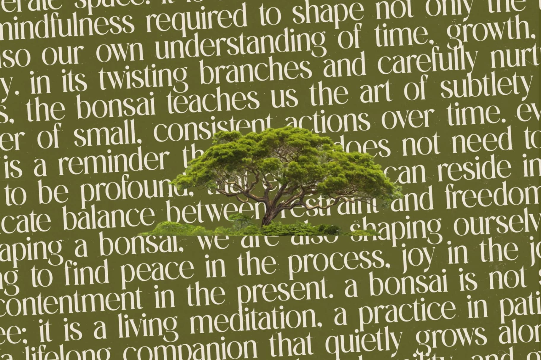 Preview 16 for Eternalo - Bold Tall Serif Display