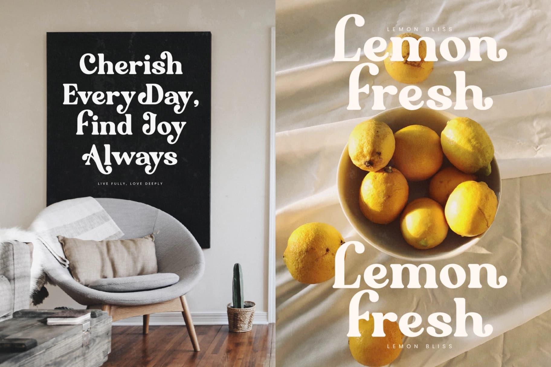 Preview 8 for Majesty Regilast - Modern Serif Font