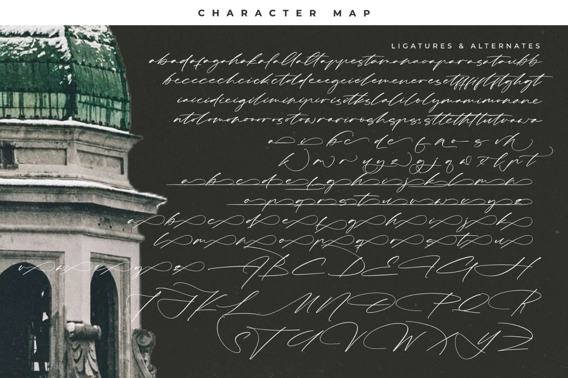 Preview 19 for Kingdome Daylight - Modern Signature Font
