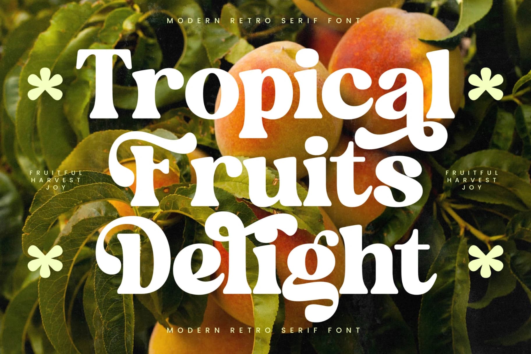 Preview 10 for Garden Delight - Modern Retro Serif
