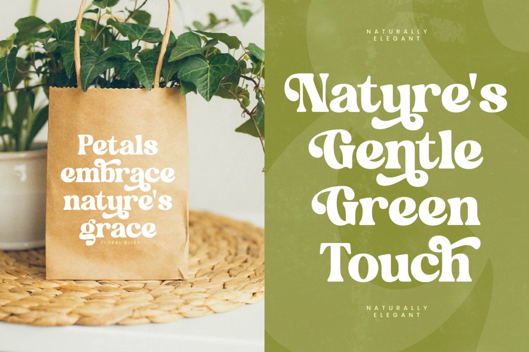 Preview 17 for Garden Delight - Modern Retro Serif
