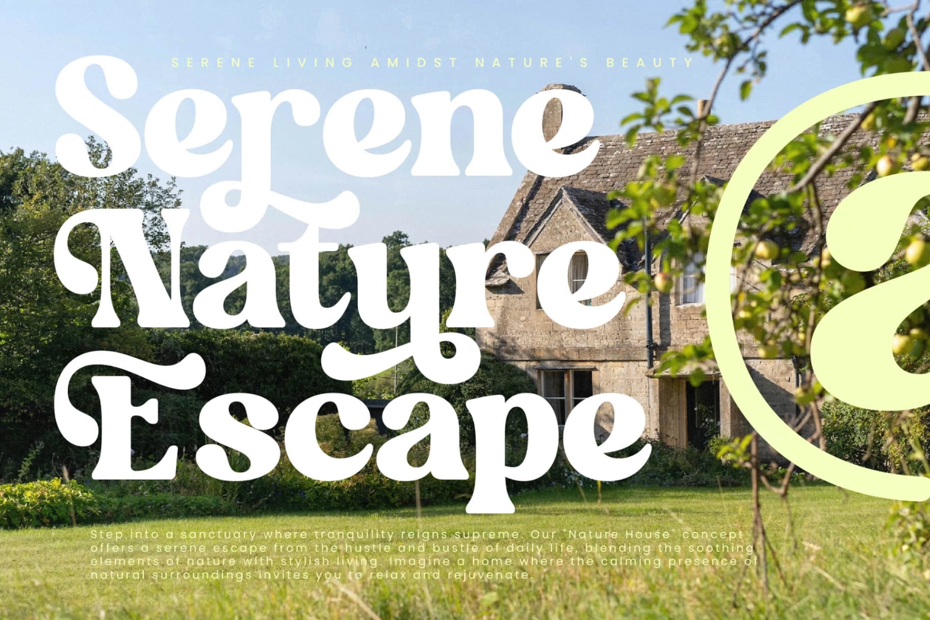 Preview 13 for Garden Delight - Modern Retro Serif