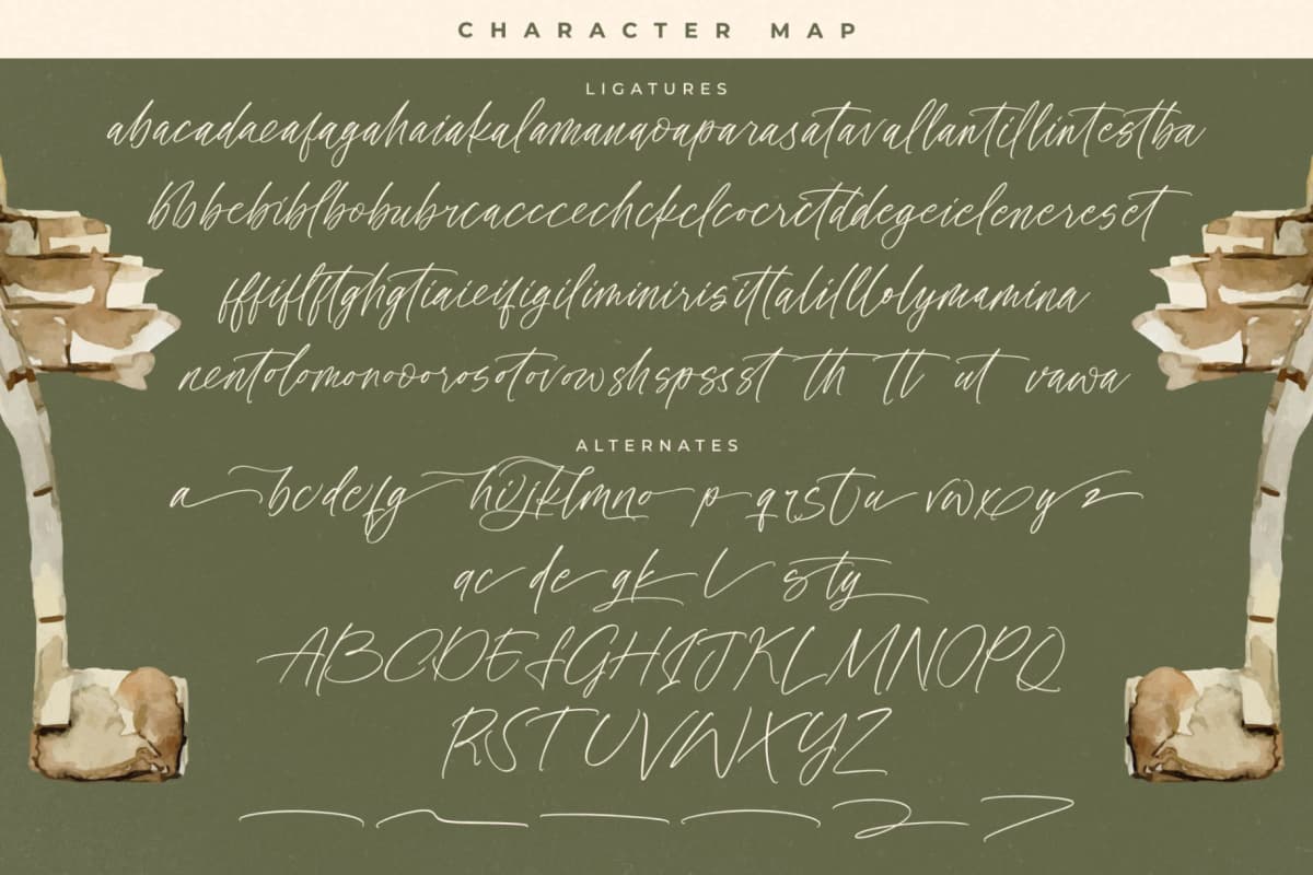 History Postime - Modern Script Font font preview 19