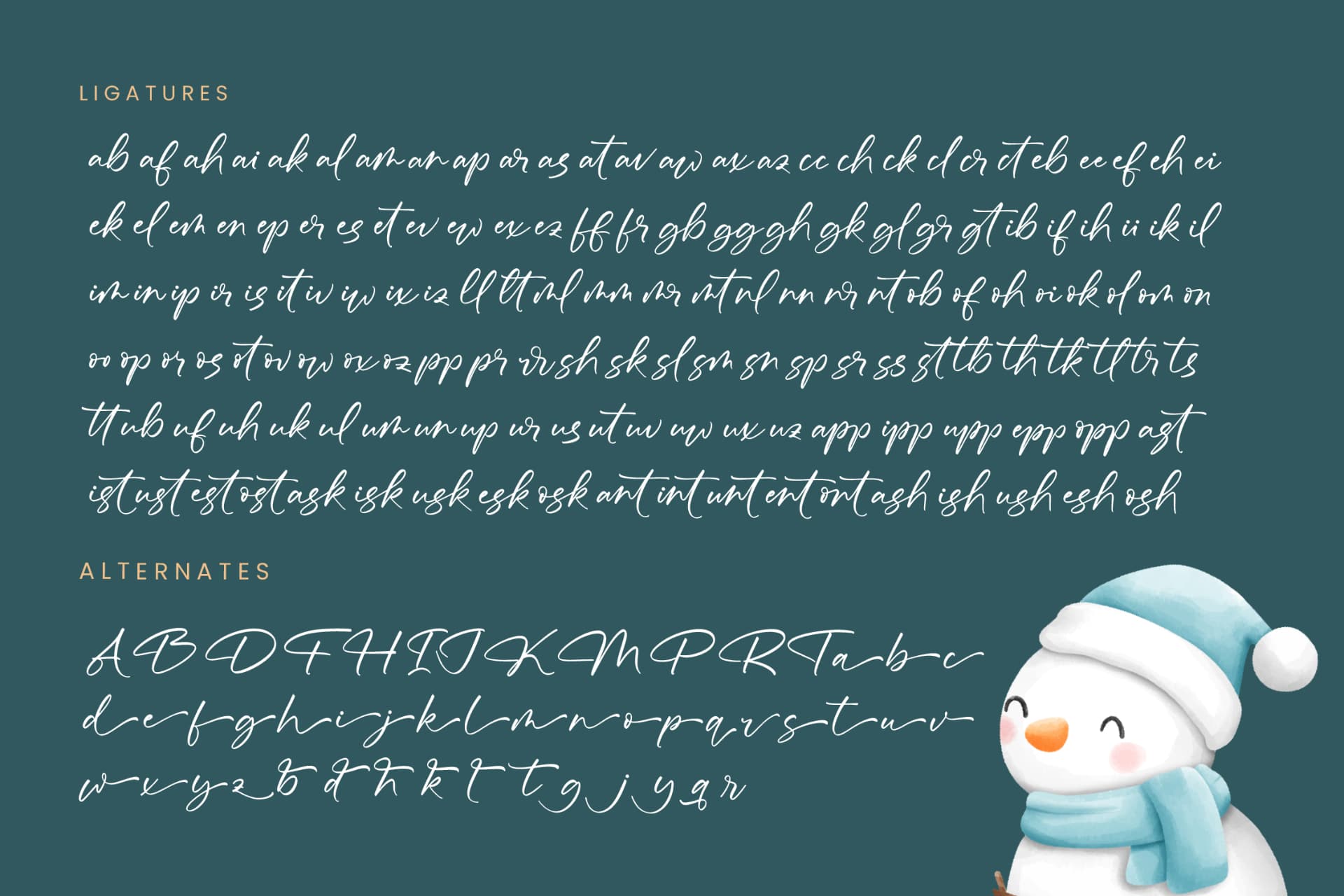 Preview 19 for Froster Snowfow - Stylish Handwritten Font
