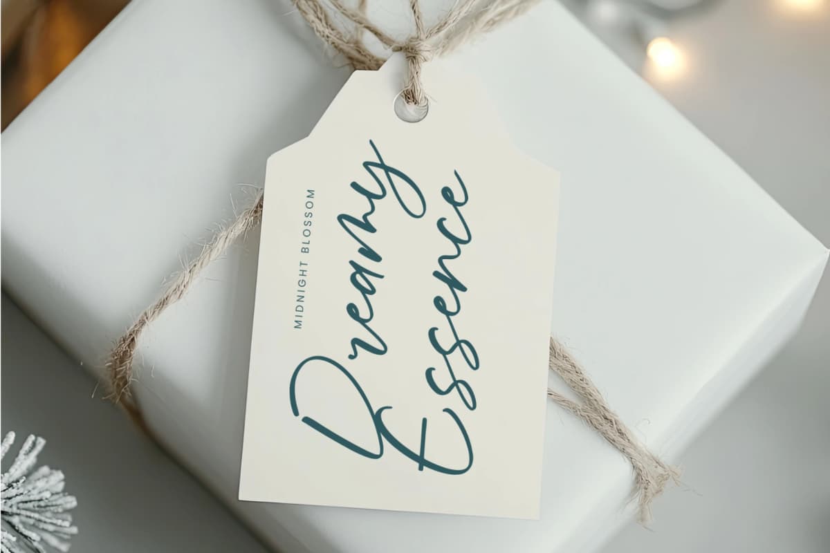 Froster Snowfow - Stylish Handwritten Font font preview 11