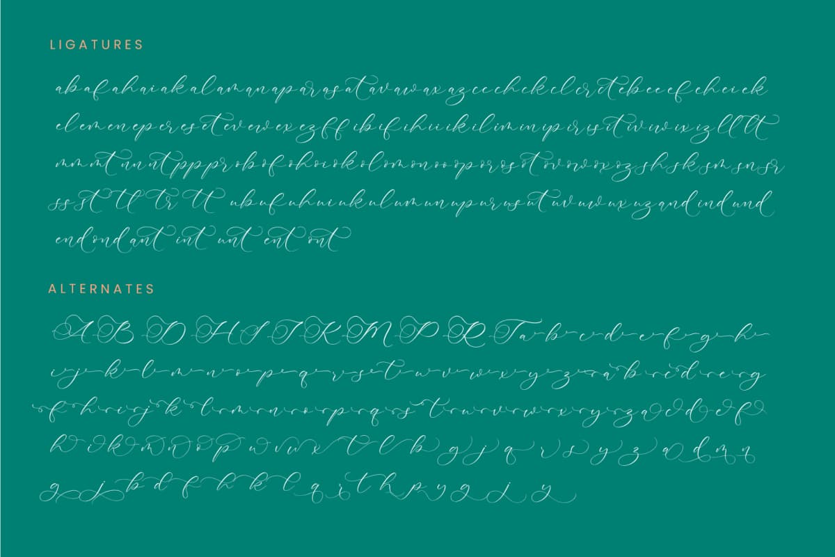 Avonta Qintani - Stylish Calligraphy Font font preview 19