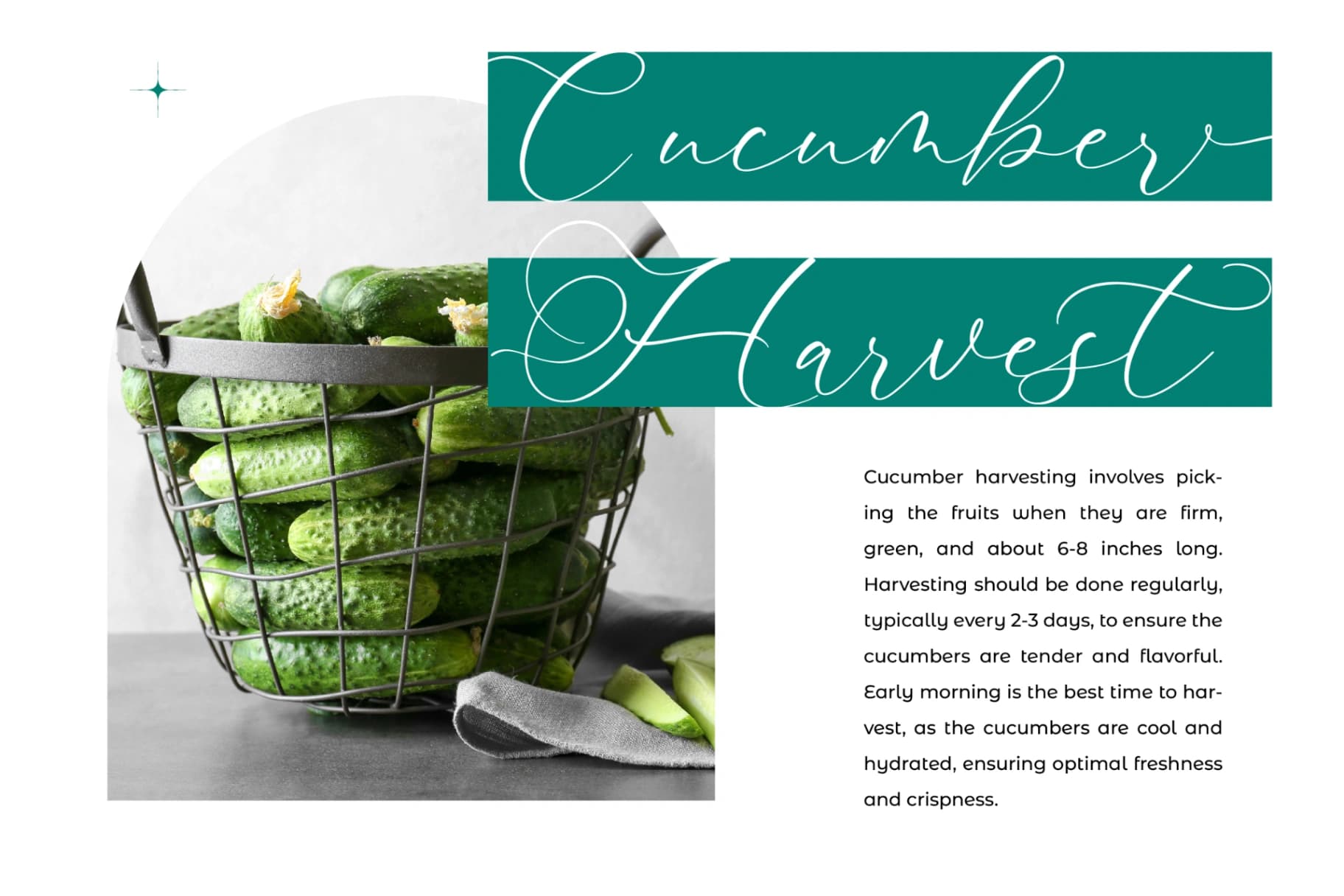 Preview 10 for Avonta Qintani - Stylish Calligraphy Font