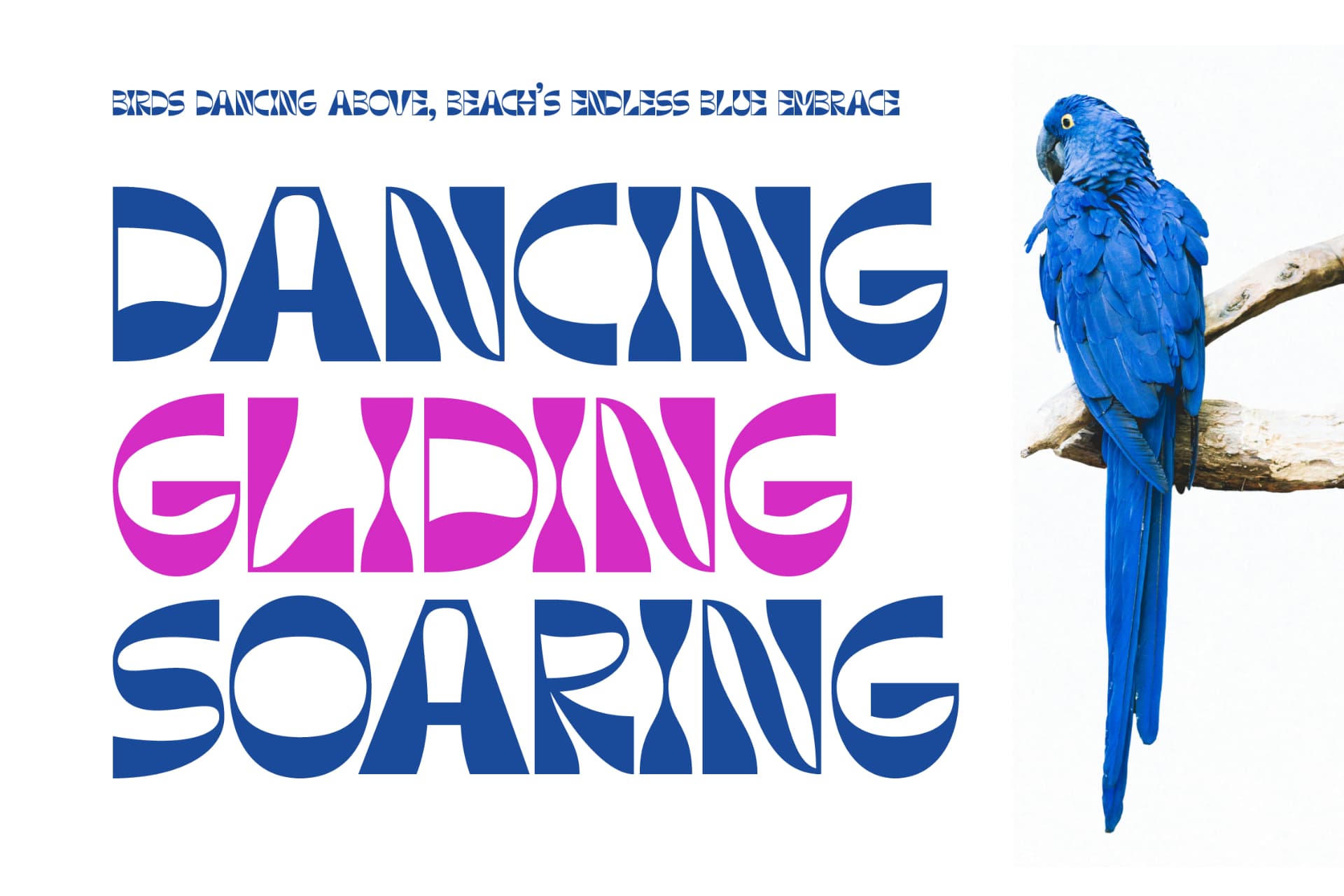 Preview 16 for Parody Prank - Display Sans Serif
