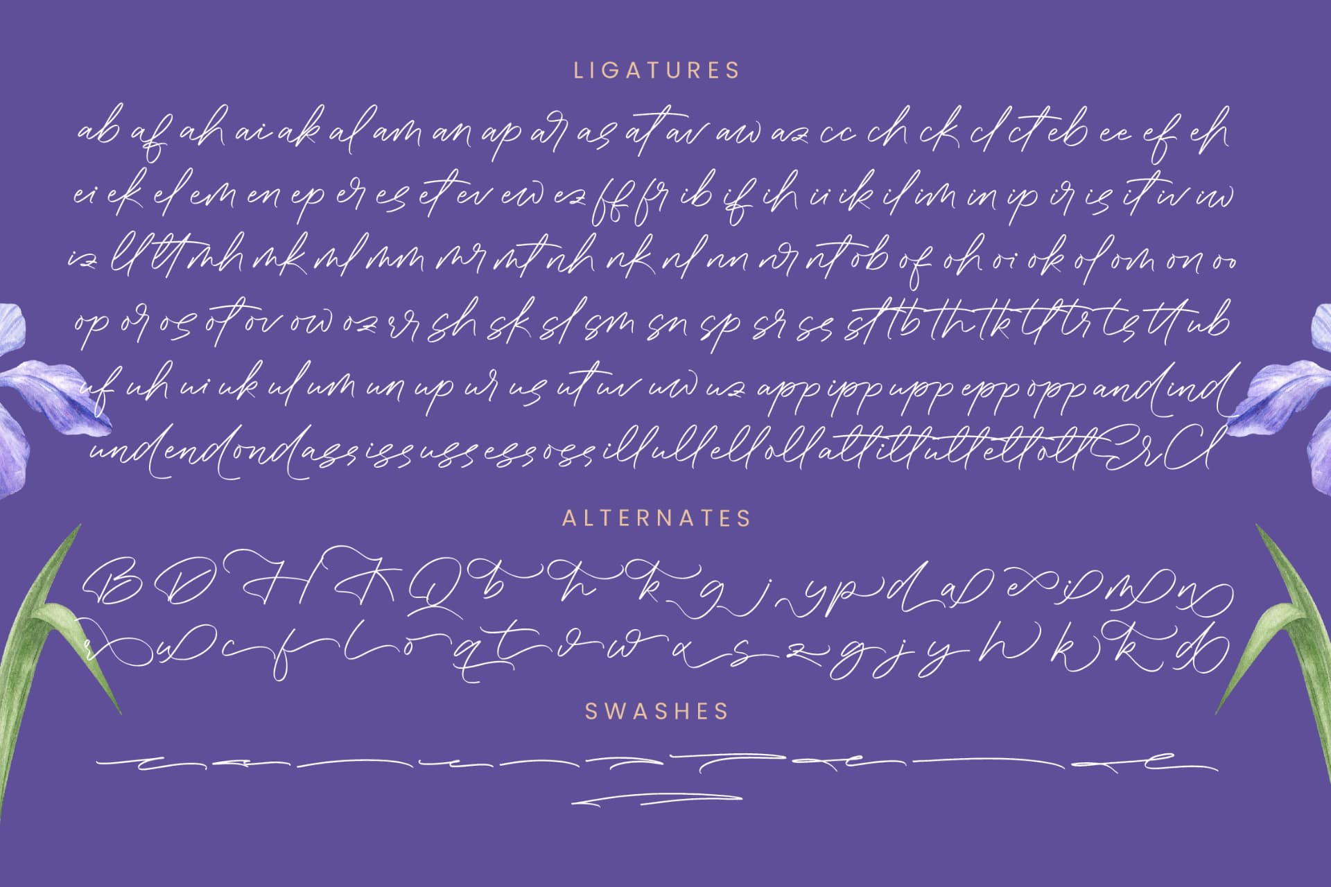 Preview 19 for Gafisha Lindiaki - Stylish Handwritten Font