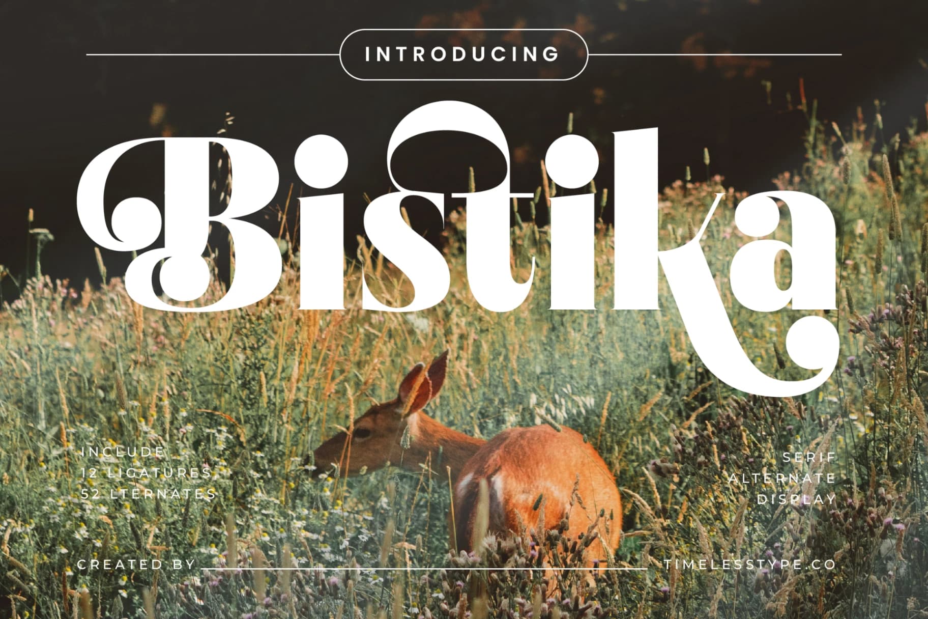 Preview of Bistika - Serif Alternate Display font