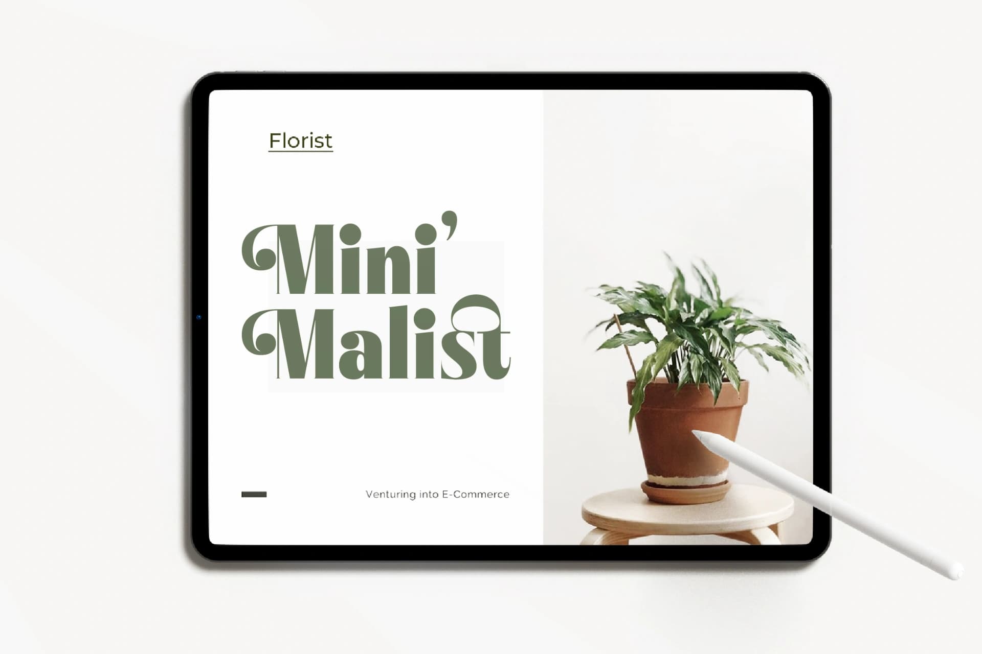 Preview 16 for Bistika - Serif Alternate Display