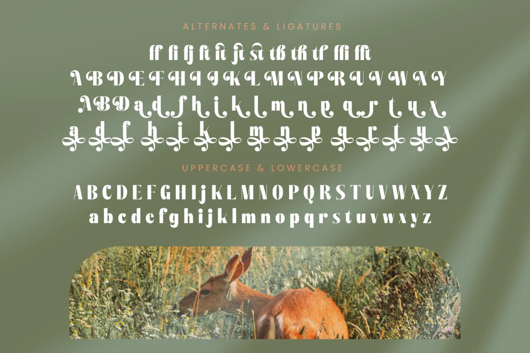Preview 19 for Bistika - Serif Alternate Display