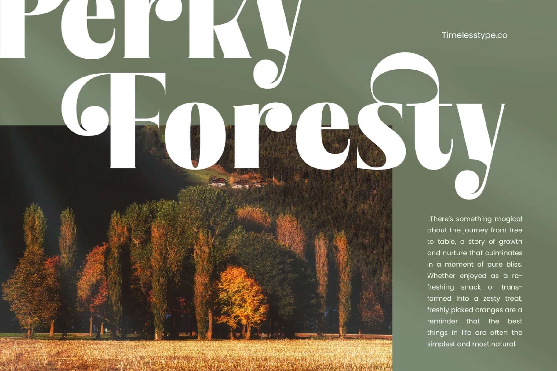 Preview 7 for Bistika - Serif Alternate Display