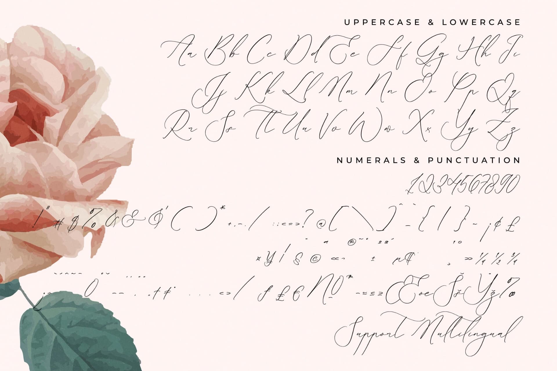 Preview 18 for Romeland Sanctuary - Stylish Handwritten Font