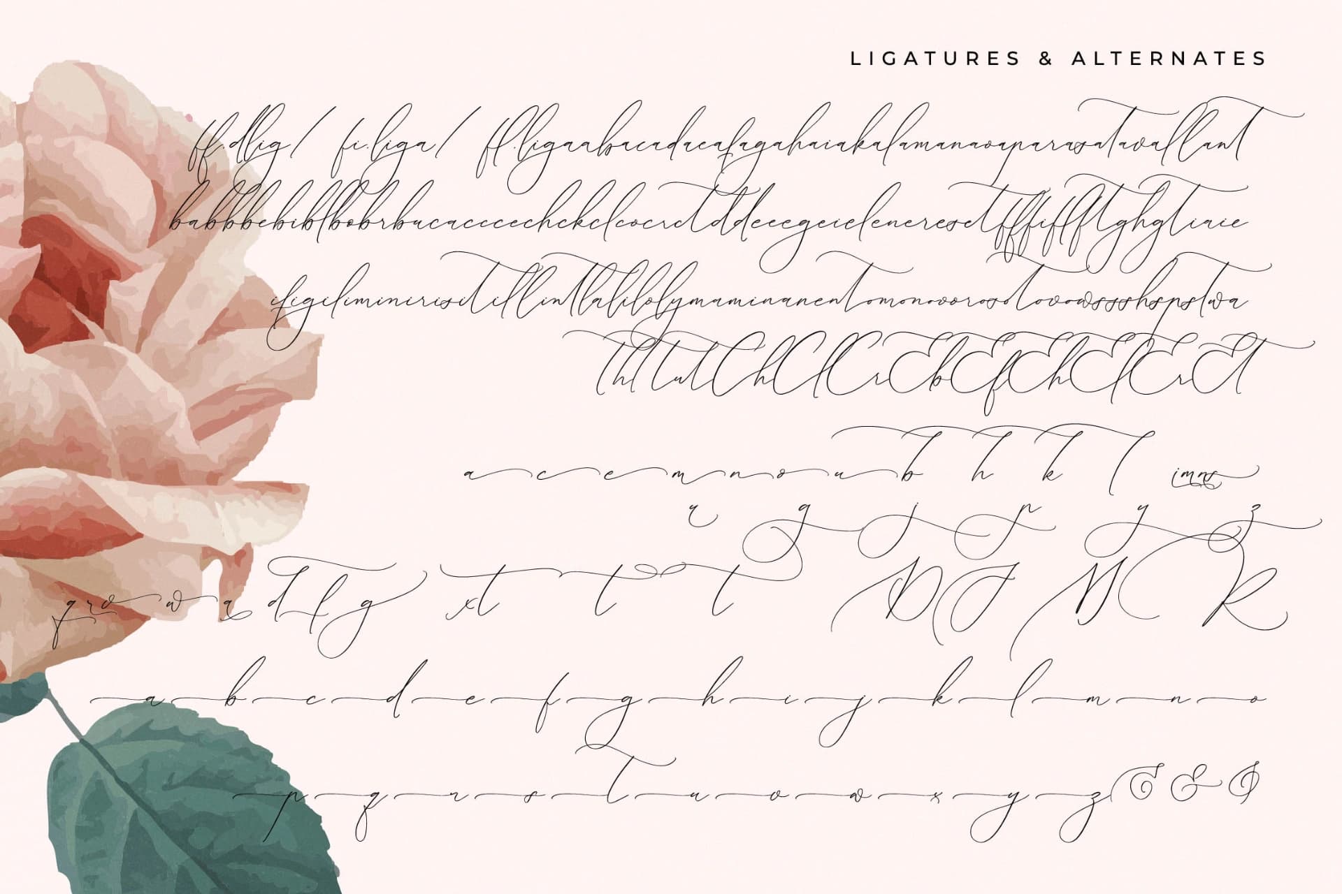 Preview 19 for Romeland Sanctuary - Stylish Handwritten Font