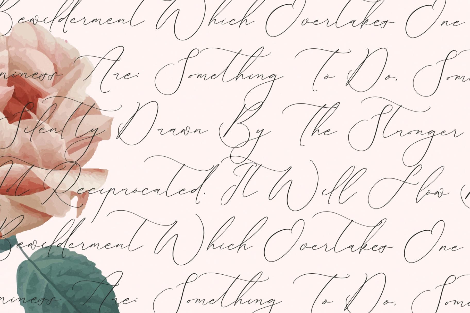 Preview 9 for Romeland Sanctuary - Stylish Handwritten Font