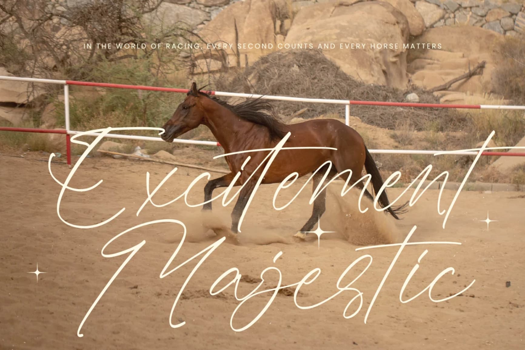 Preview 6 for Antiquity Rebelion - Stylish Handwritten Font