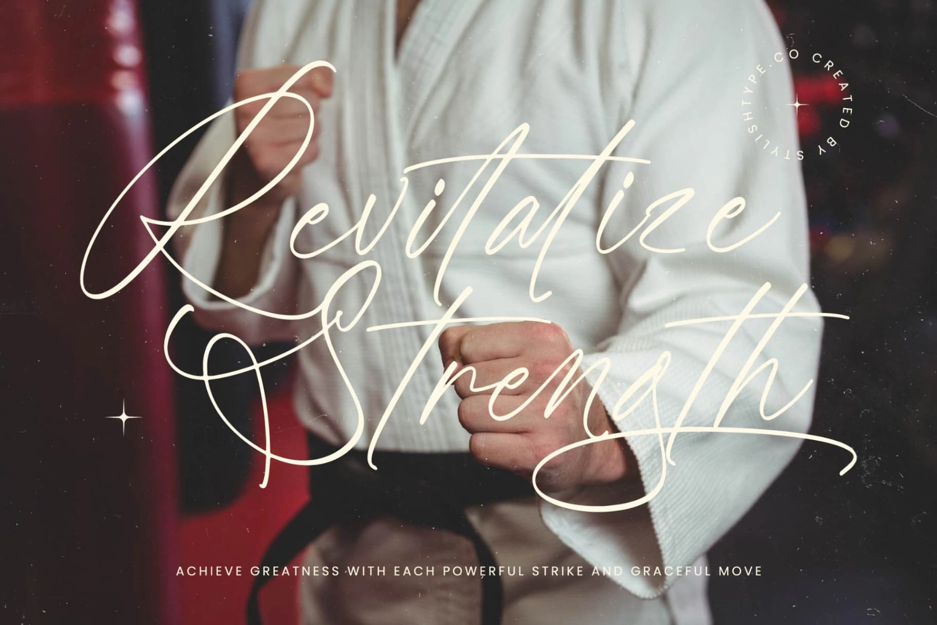 Preview 17 for Battler Knight - Stylish Signature Font