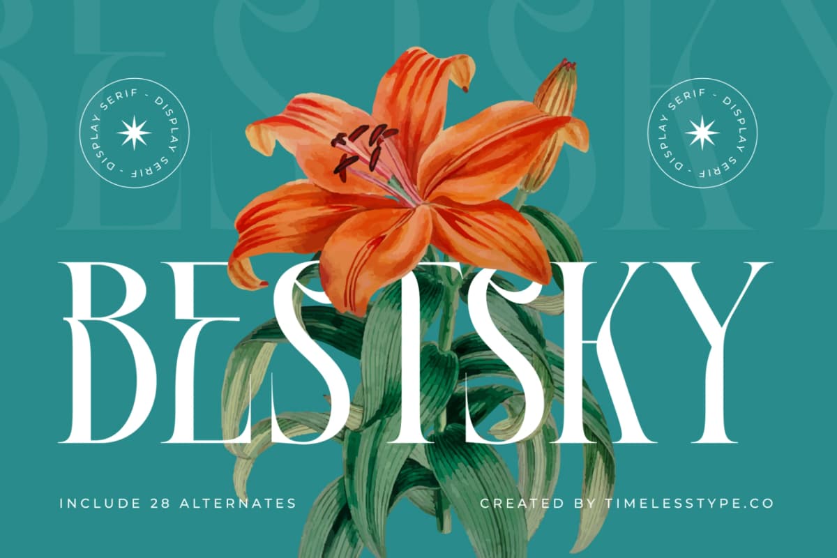 Bestsky - Display Serif Font font preview 1