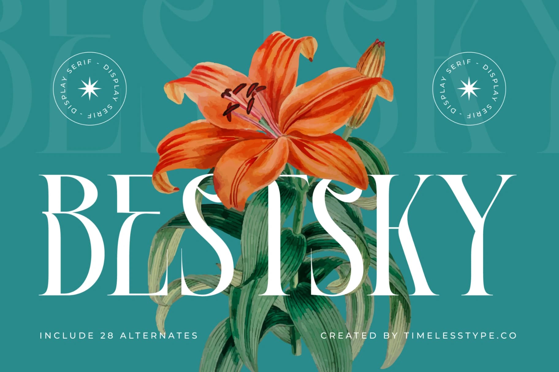 Preview 1 for Bestsky - Display Serif Font