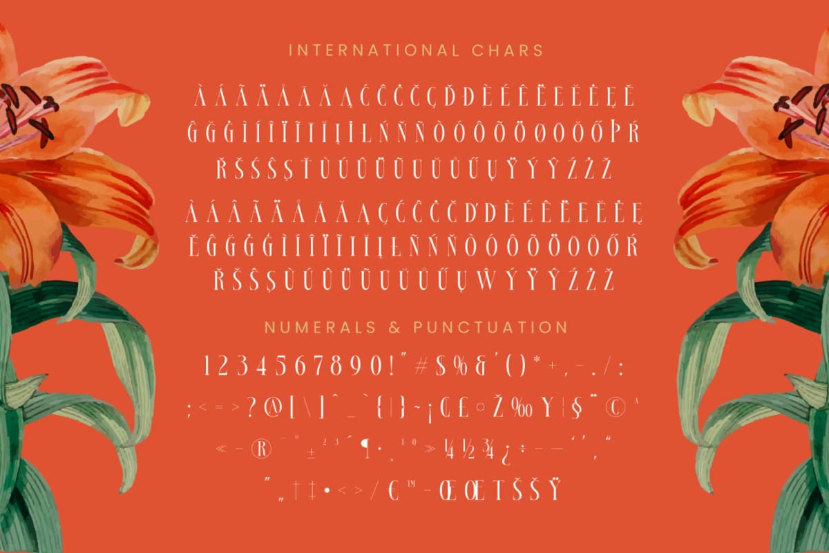 Bestsky - Display Serif Font font preview 19