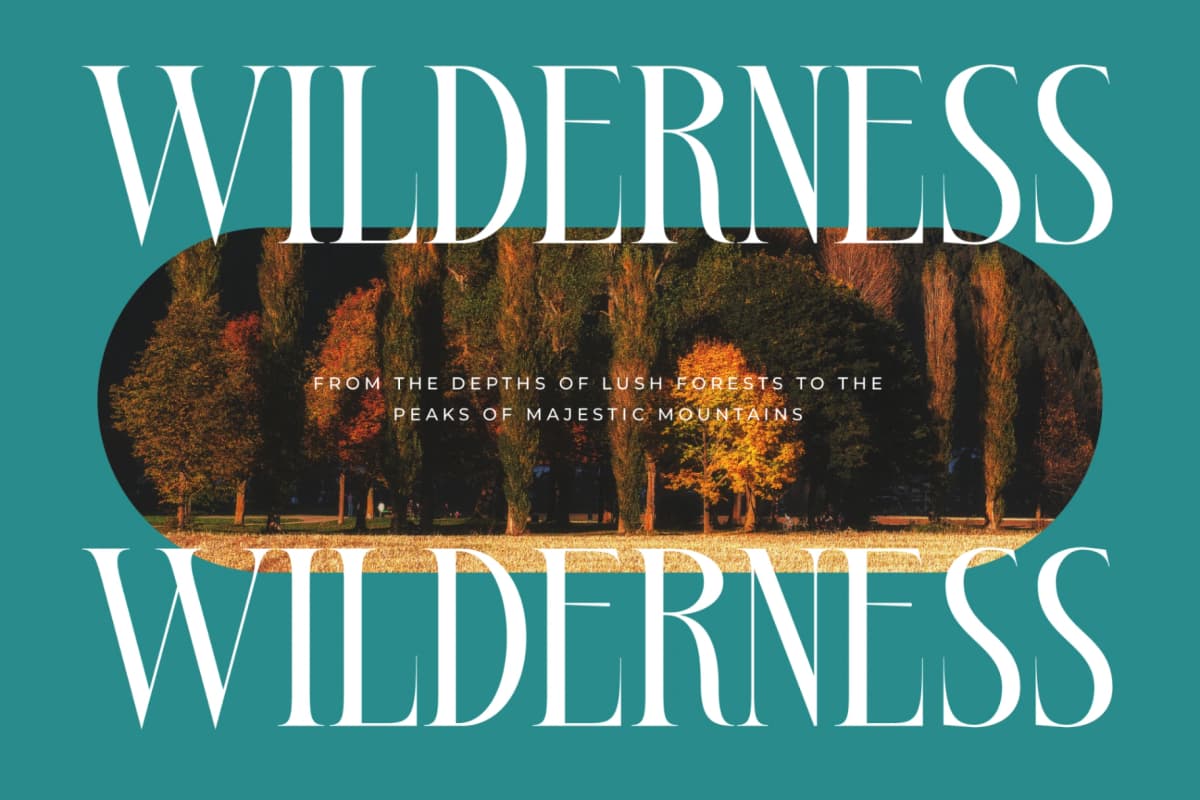 Bestsky - Display Serif Font font preview 11