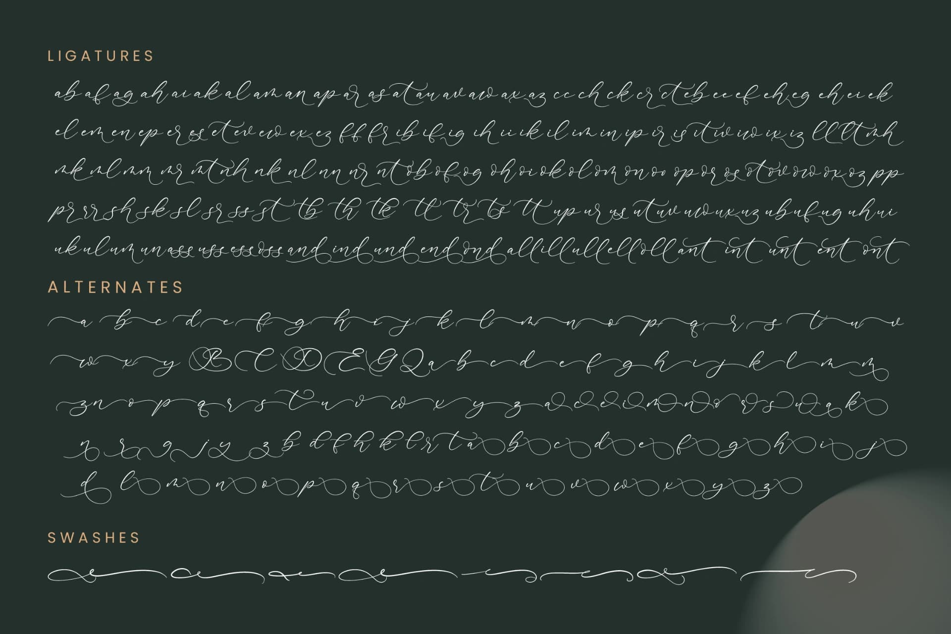 Preview 19 for Adventur Kintent - Stylish Calligraphy Font