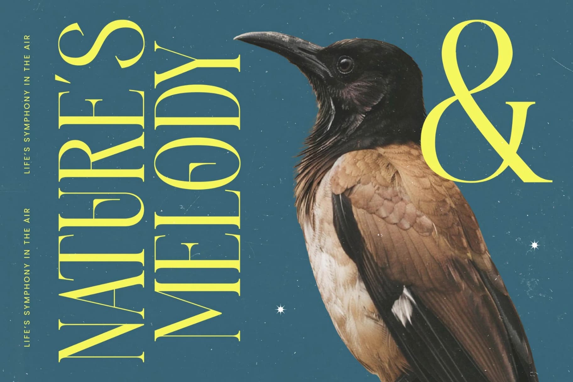 Preview 4 for Heroic Brutal - Bold Tall Serif Display Font