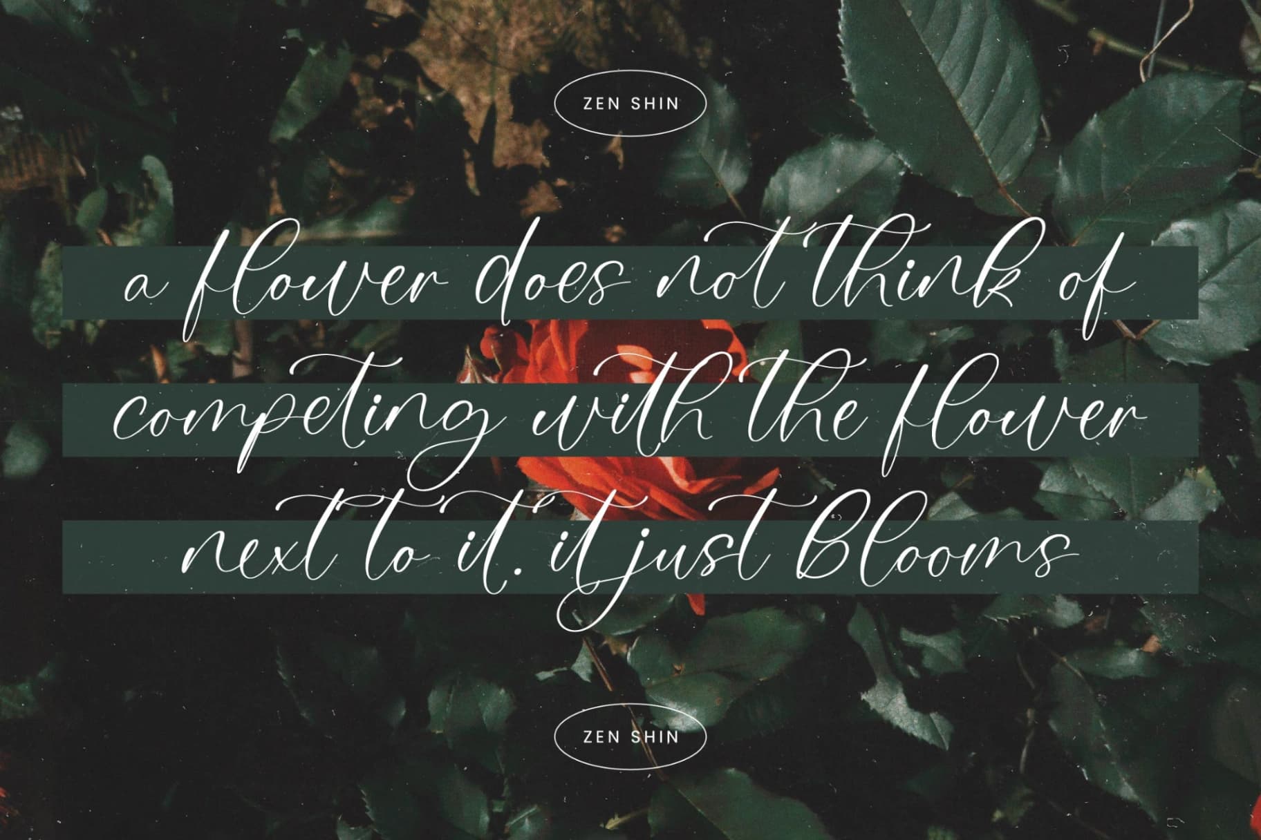 Preview 5 for Natalya Rosyta - Natural Handwritten Font