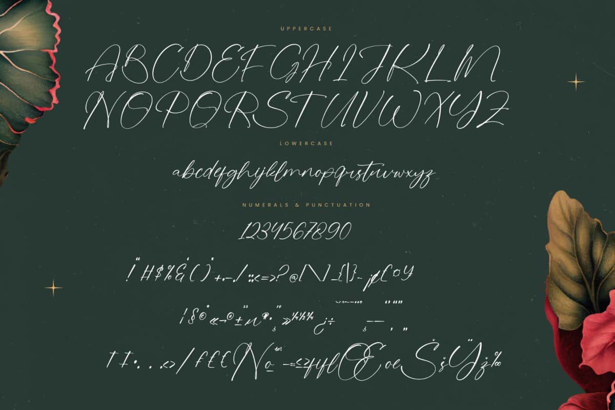 Natalya Rosyta - Natural Handwritten Font font preview 18