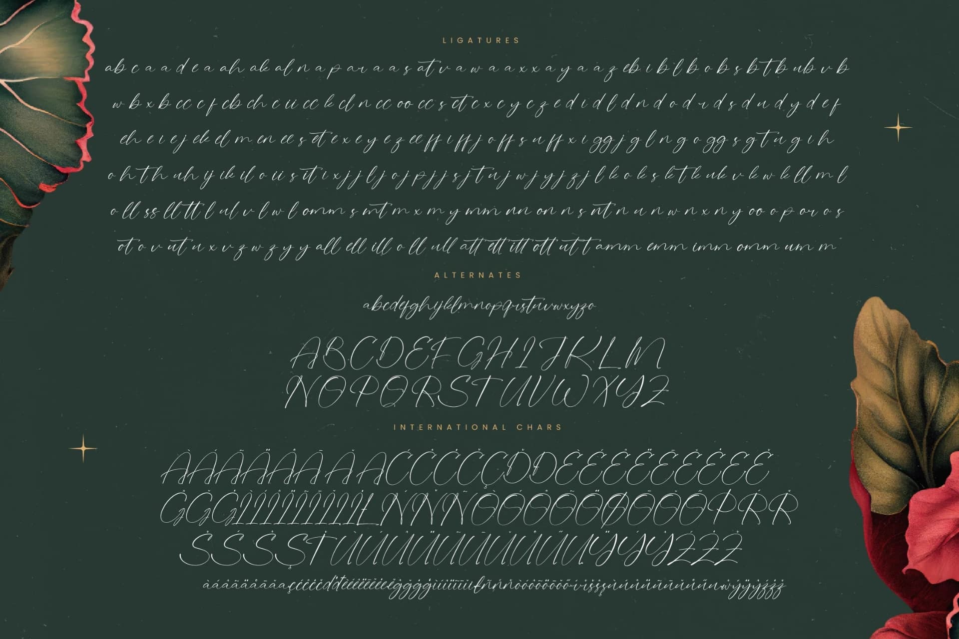 Preview 19 for Natalya Rosyta - Natural Handwritten Font