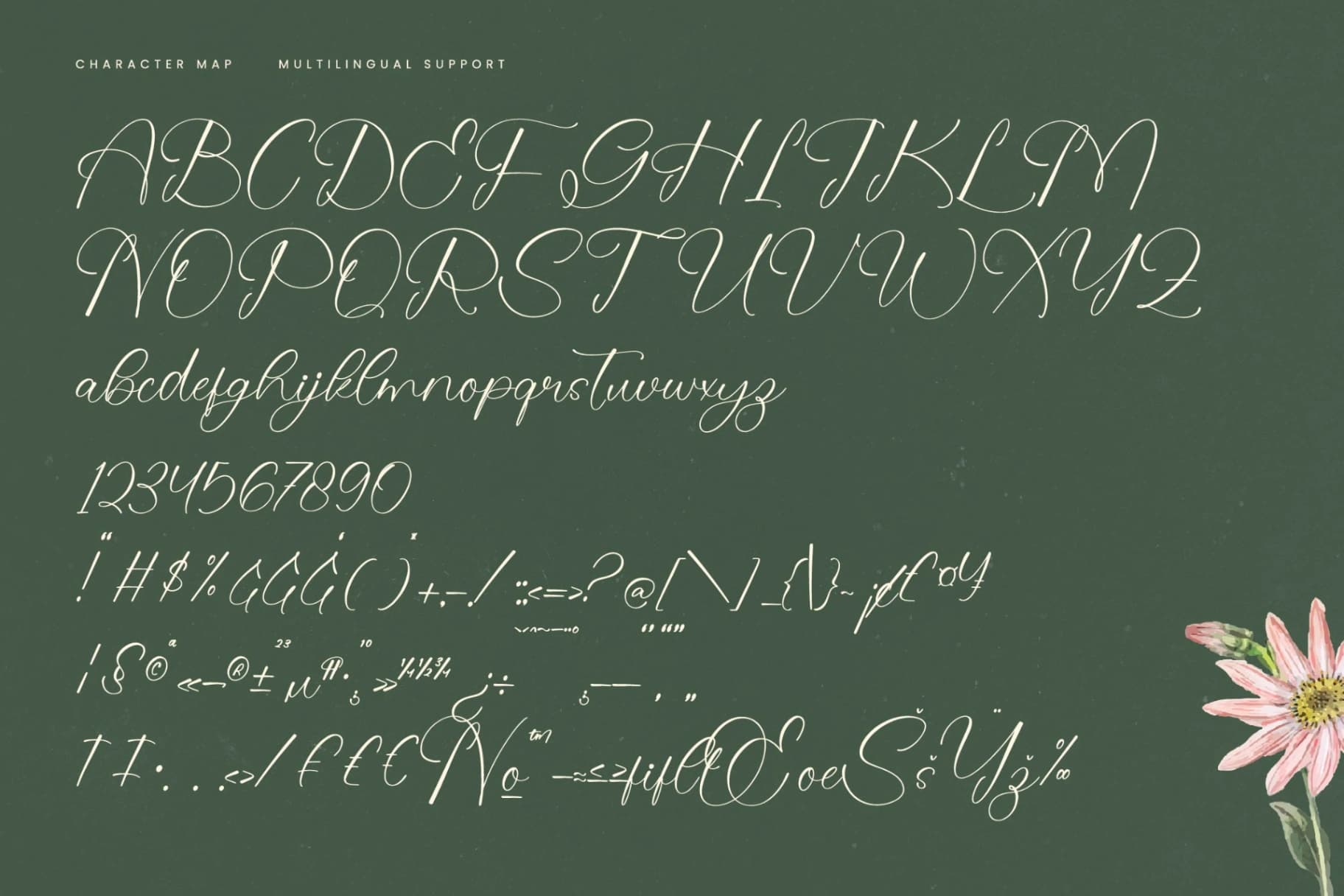 Preview 18 for Evelyn Scarlet - Stylish Calligraphy Font