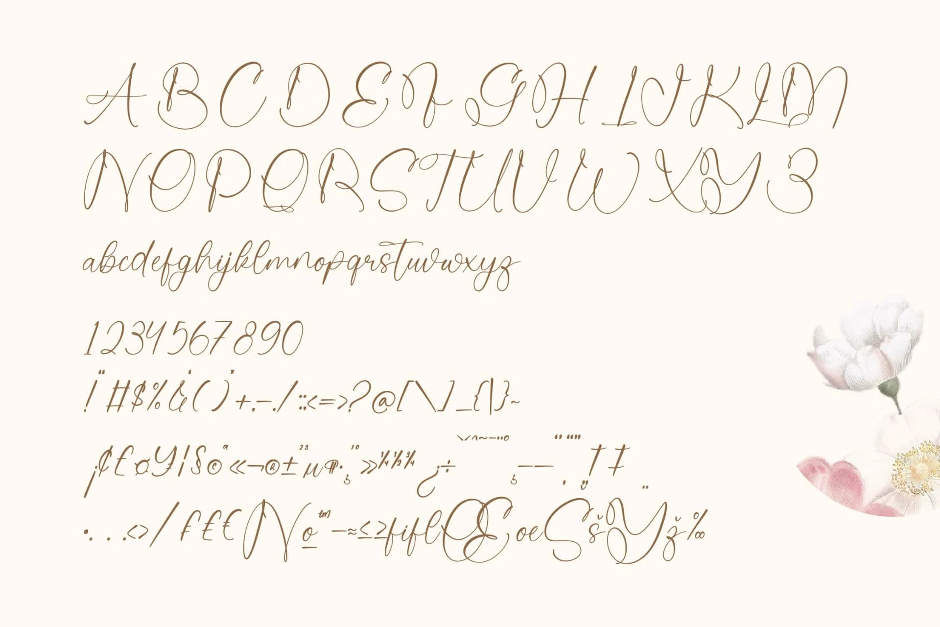 Preview 18 for Sintalia Kelista - Stylish Handwritten Font