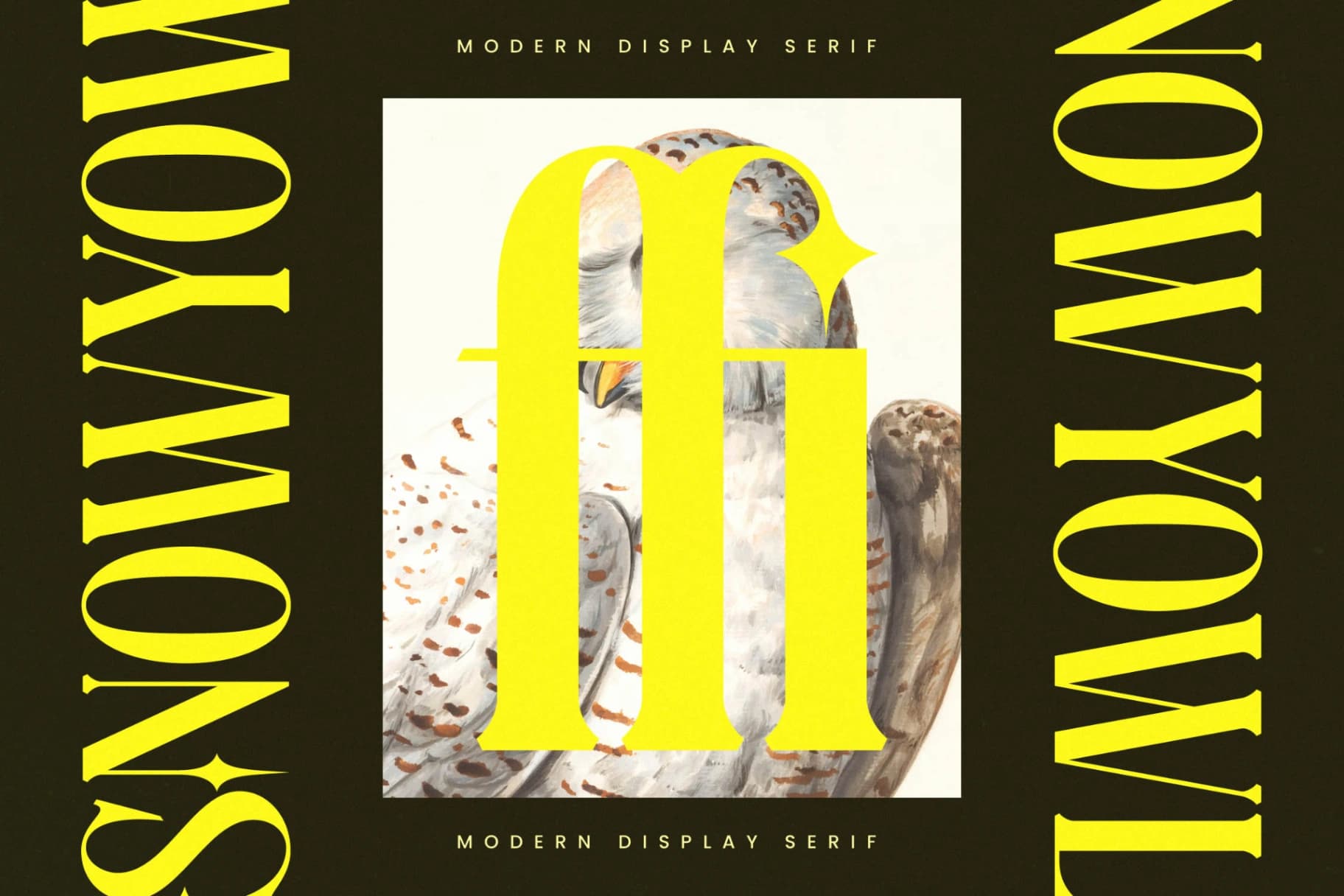 Preview 13 for Mythical Romance - Modern Display Serif
