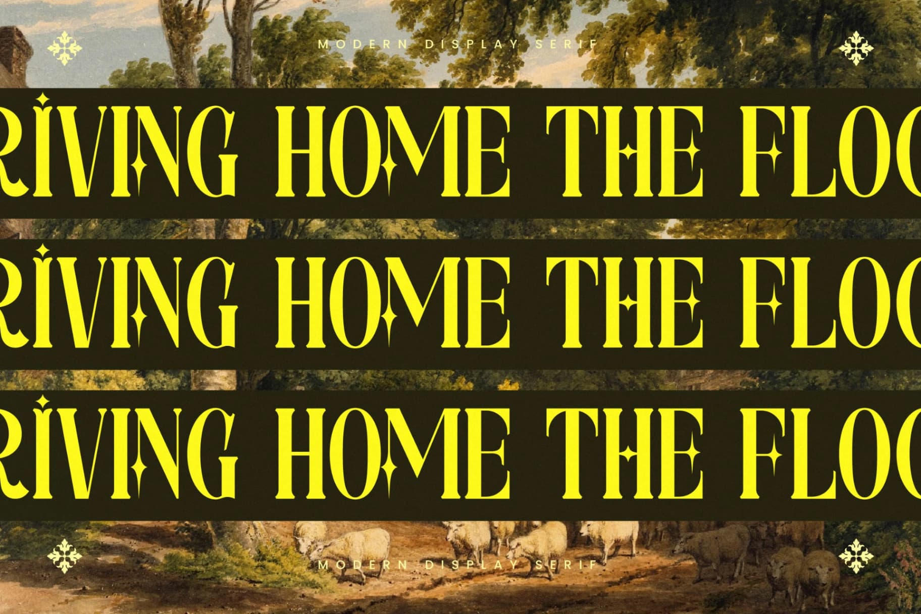 Preview 7 for Mythical Romance - Modern Display Serif