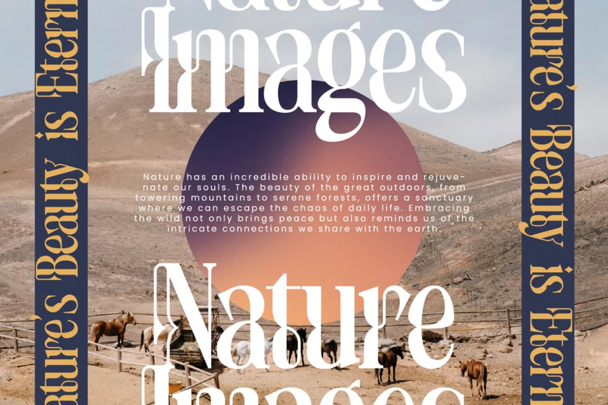 Twolight - New Modern Serif Typeface font preview 4