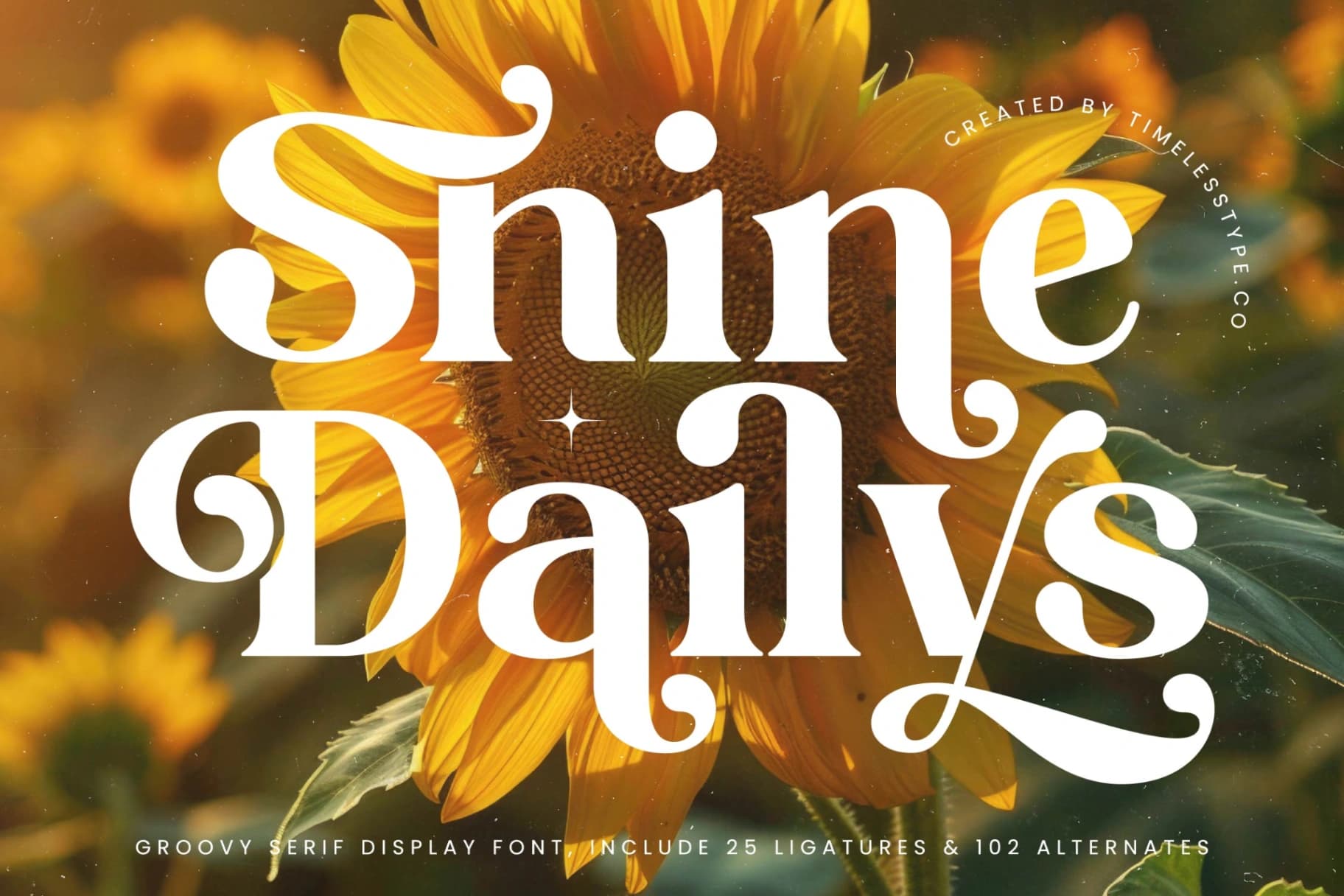 Preview 1 for Shine Dailys - Groovy Serif Display Font