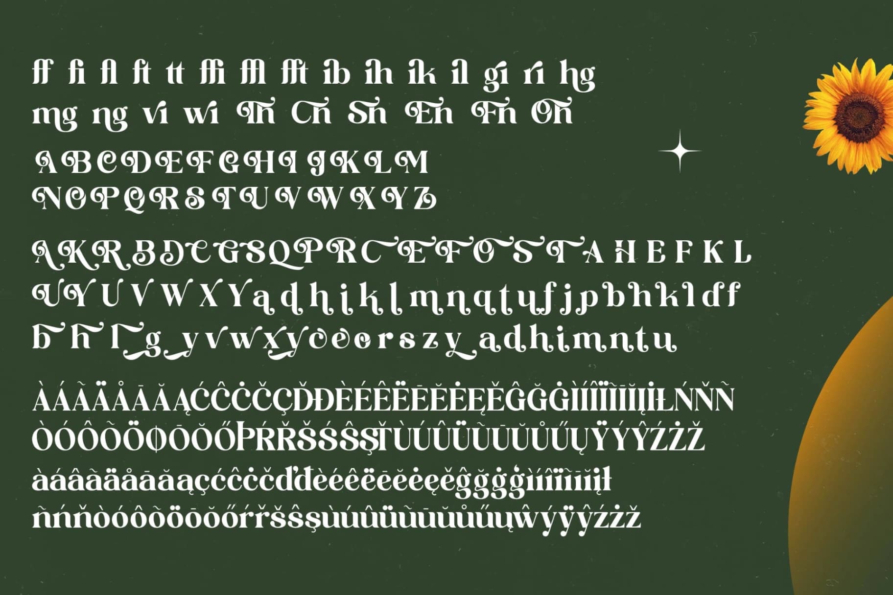 Preview 19 for Shine Dailys - Groovy Serif Display Font