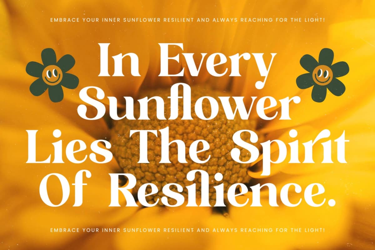 Shine Dailys - Groovy Serif Display Font font preview 17