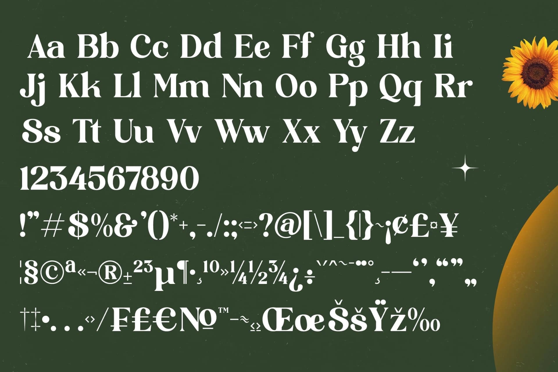 Preview 18 for Shine Dailys - Groovy Serif Display Font