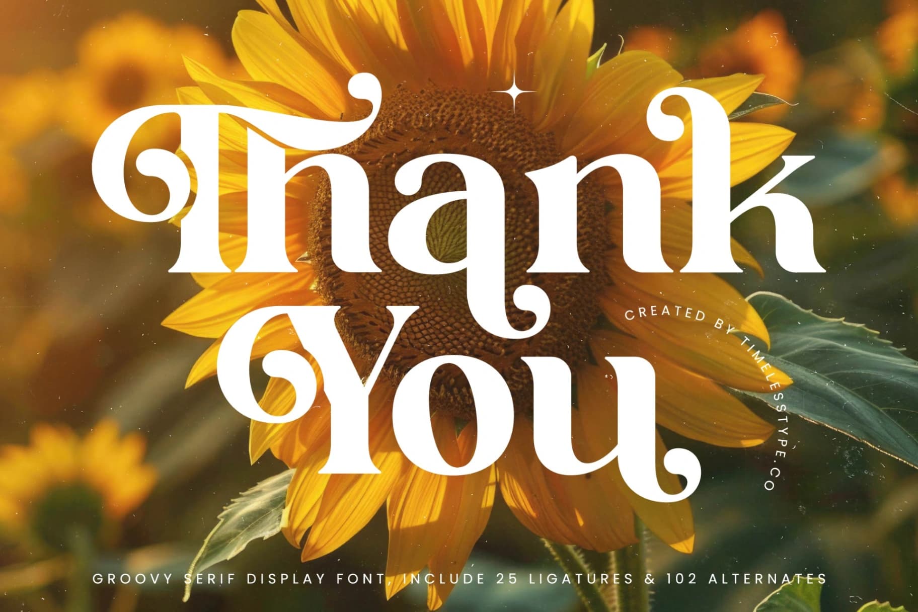 Preview 20 for Shine Dailys - Groovy Serif Display Font