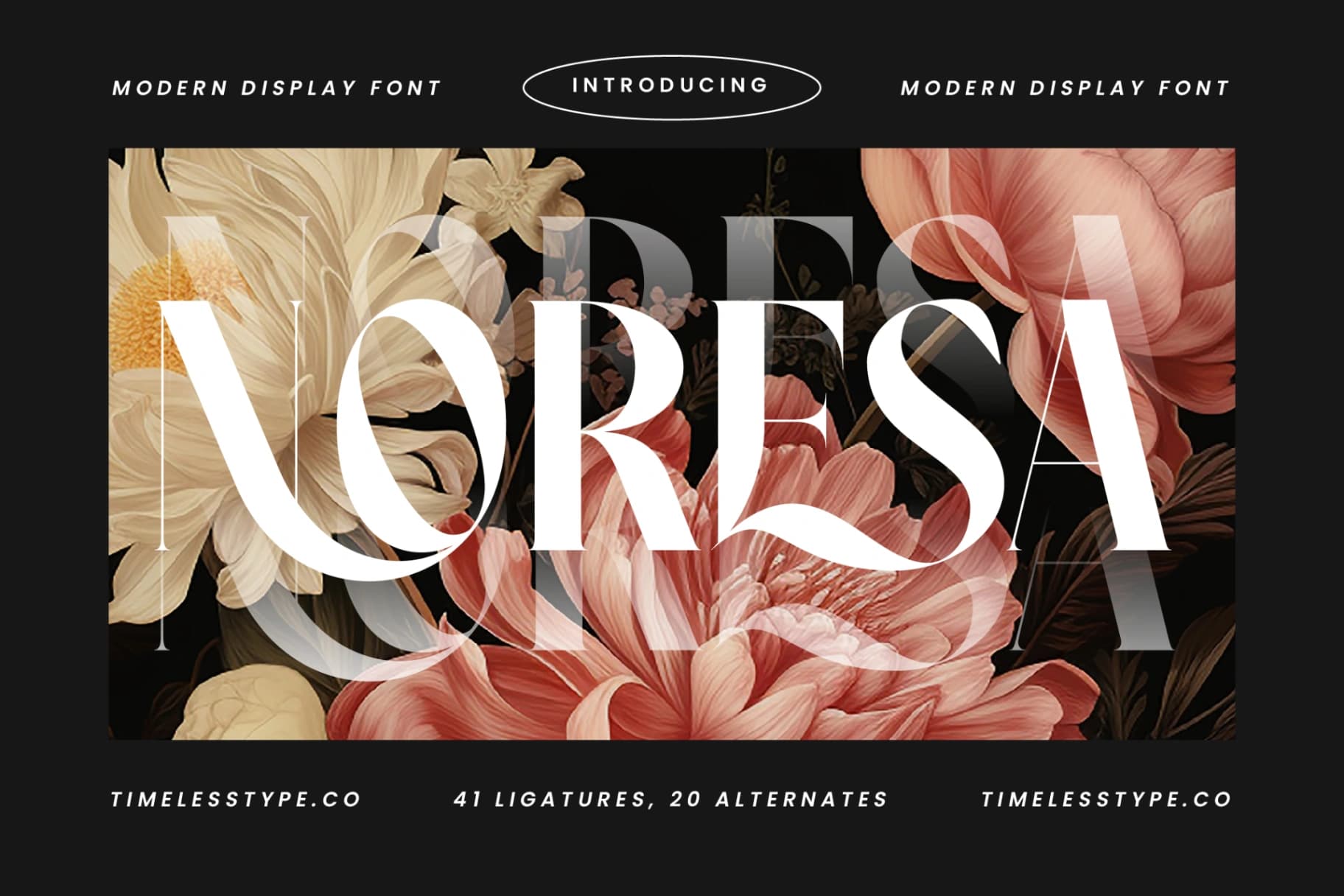 Preview of Noresa - Modern Display Font font
