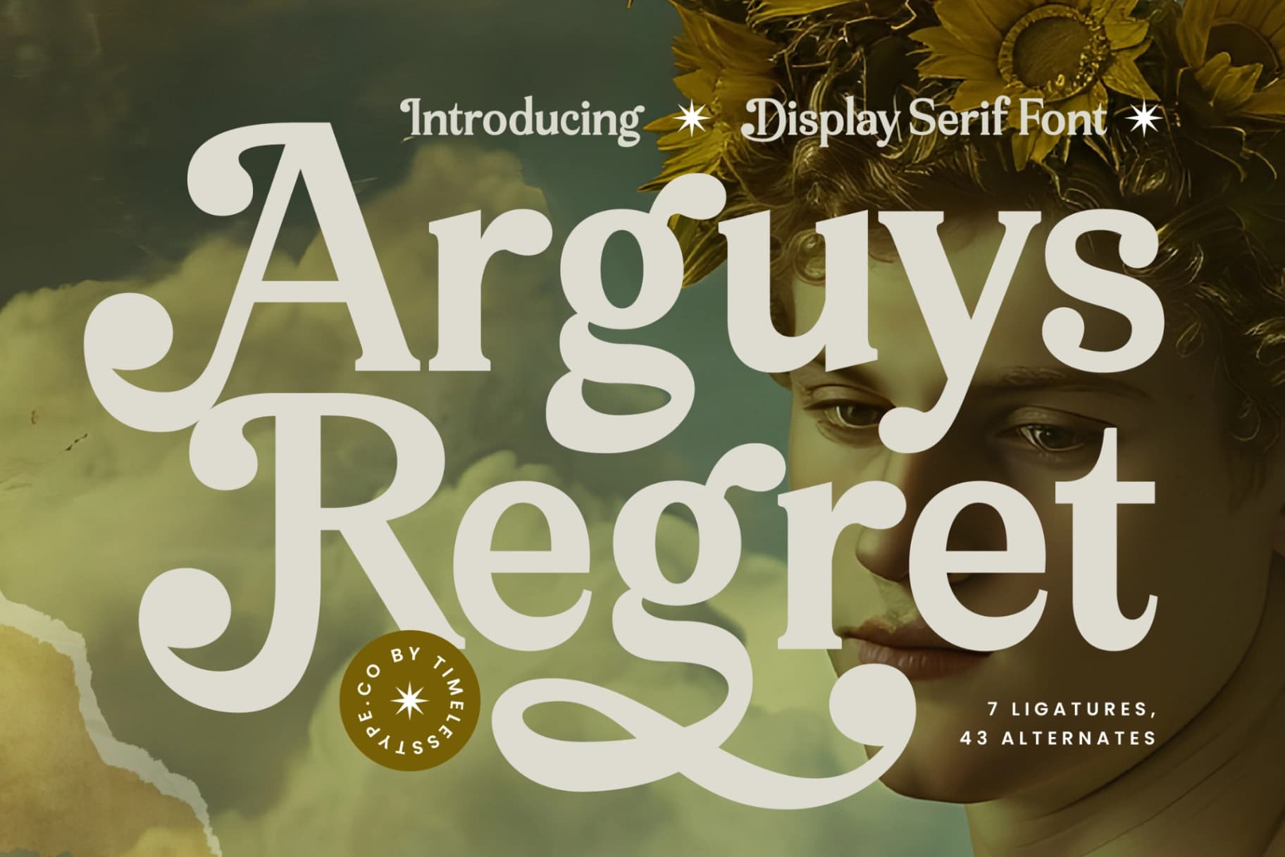 Preview 1 for Arguys Regret - Display Serif Font
