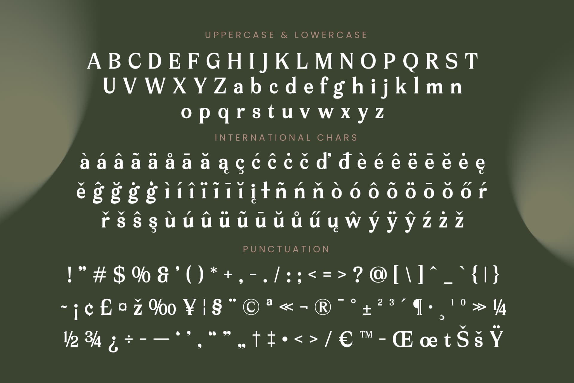 Preview 19 for Arguys Regret - Display Serif Font