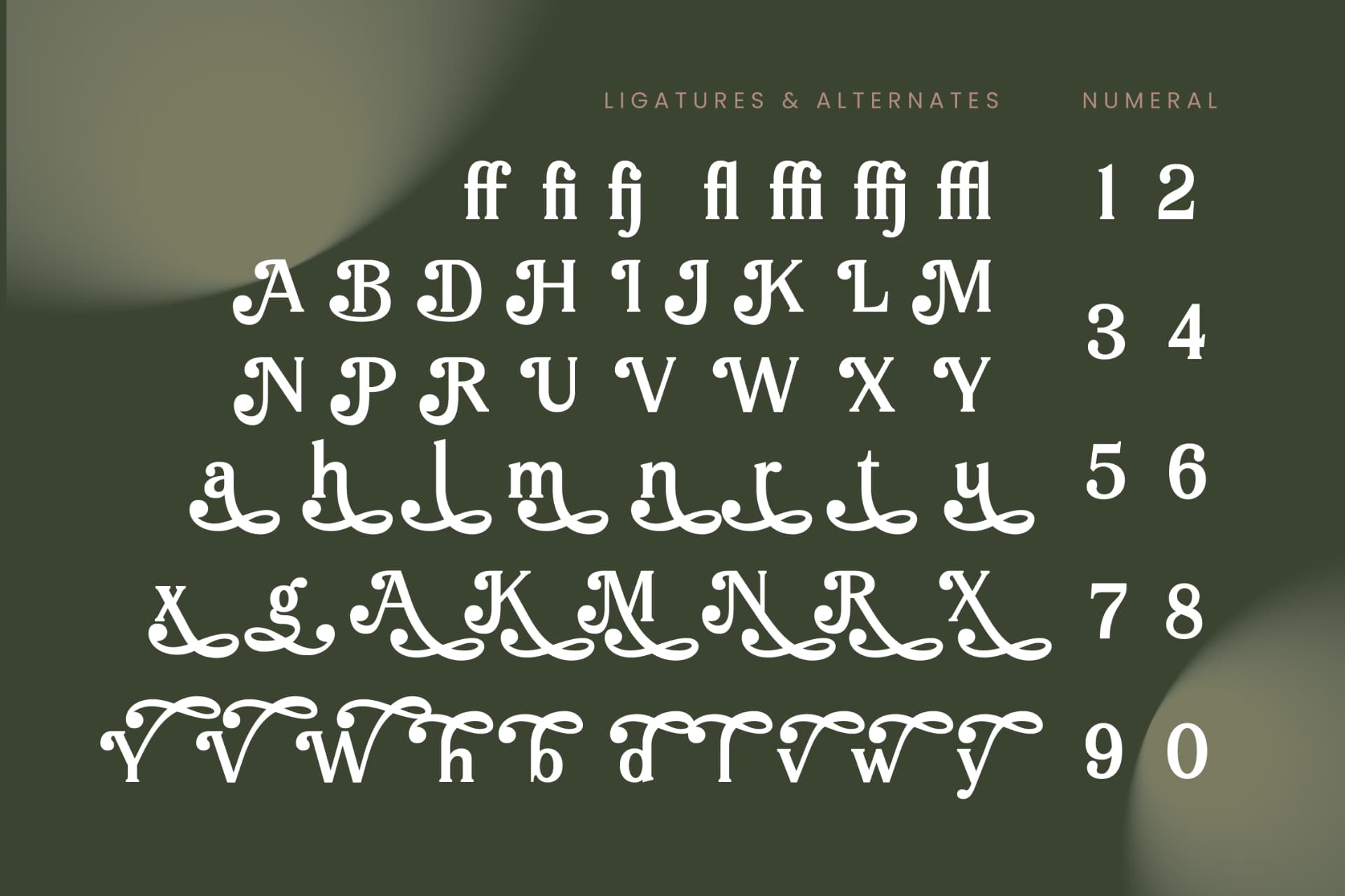 Preview 18 for Arguys Regret - Display Serif Font